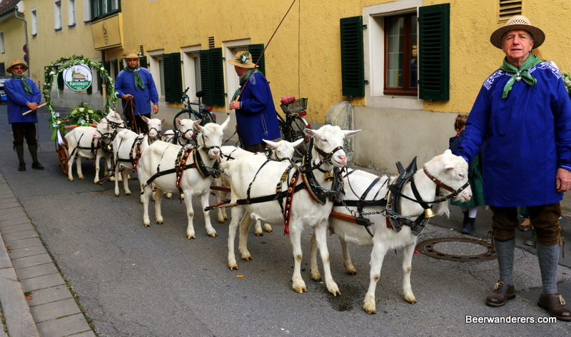 goats pulling beer on cart