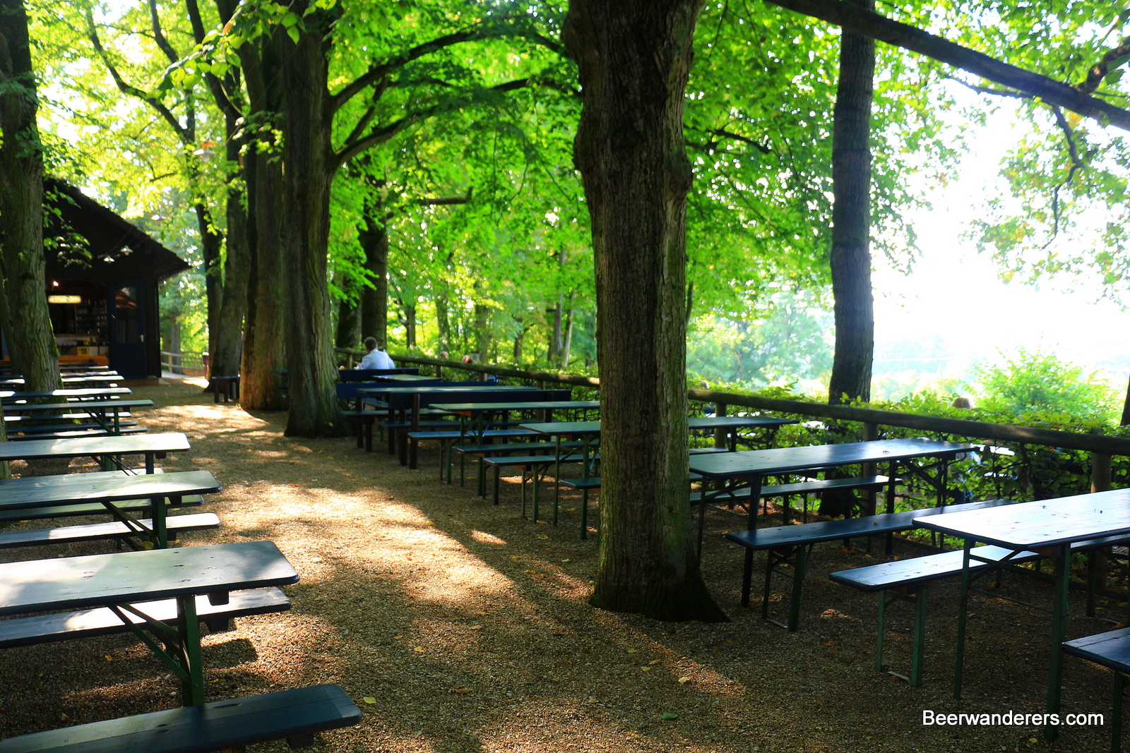 St. GeorgenBräu Bierkeller lush forest setting with benches
