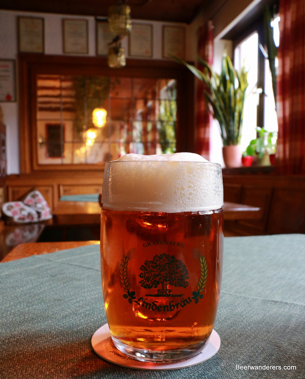 amber beer in mug