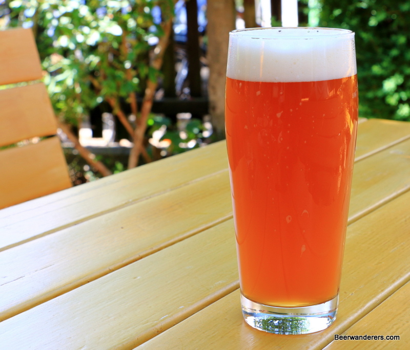 unfiltered amber beer in glass