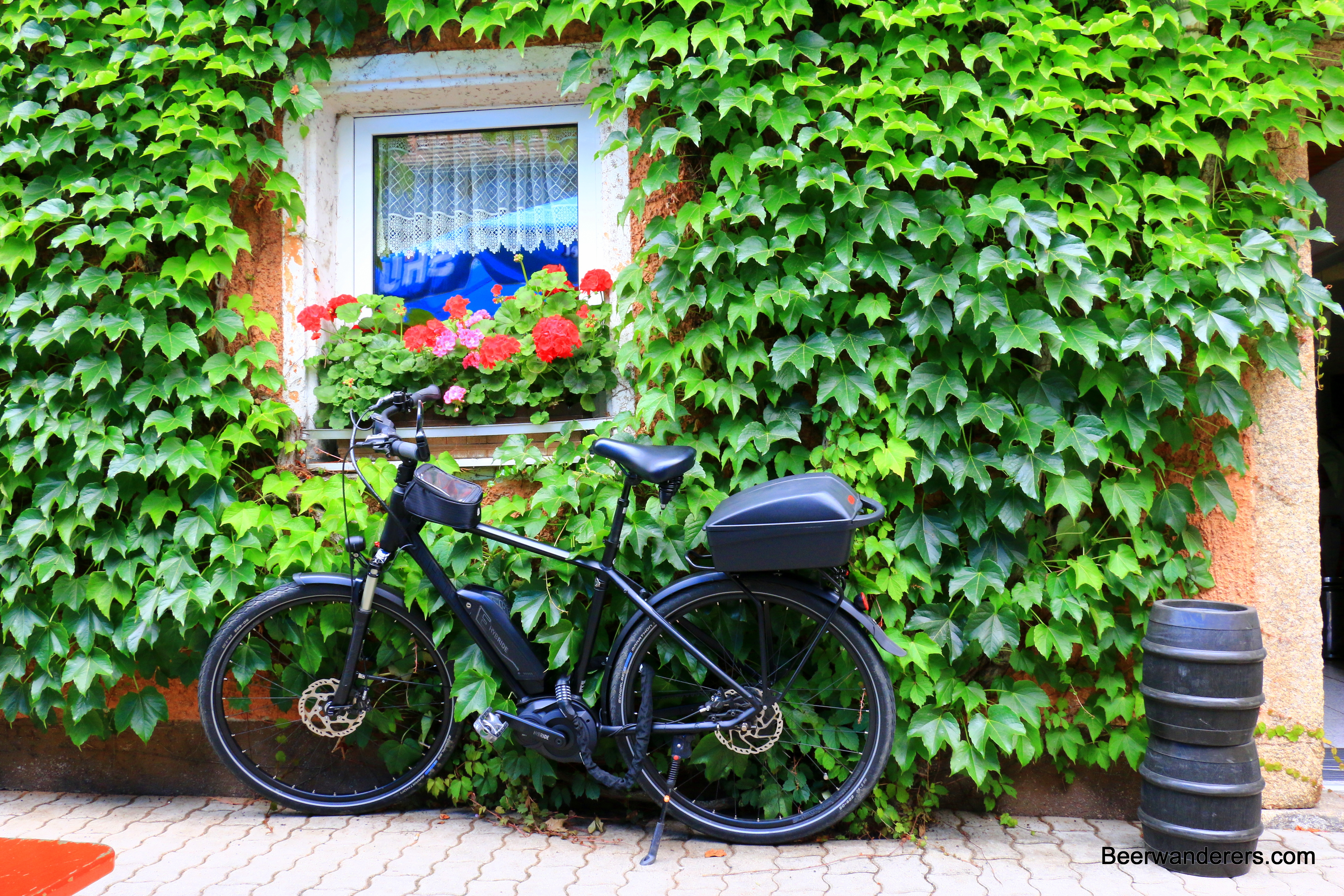 bike