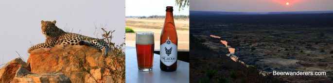 leopard craft beer sunrise at river