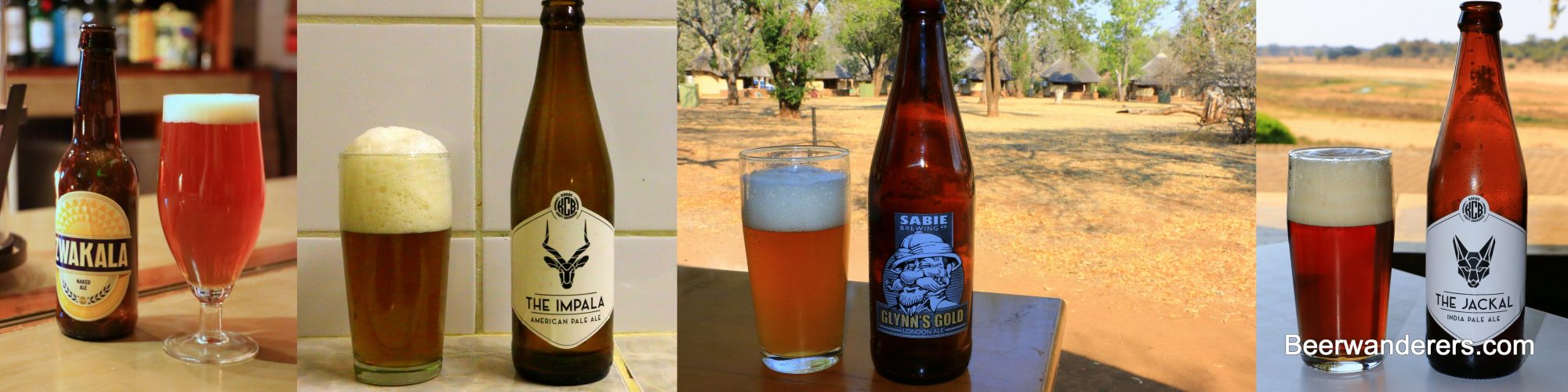 South African craft beer collage