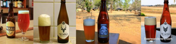 South African craft beer collage