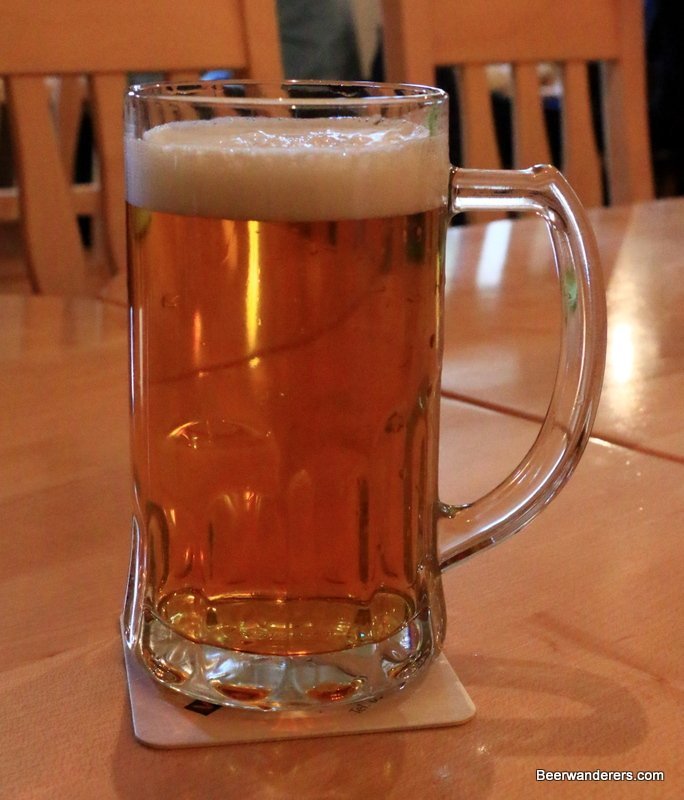 golden beer in mug