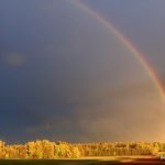 rainbow