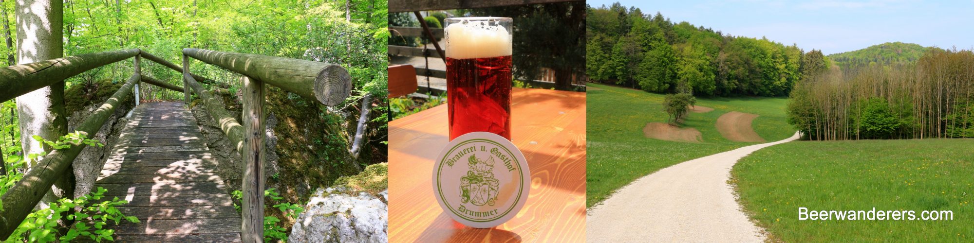 lush boardwalk trail, amber beer in mug, rural landscape