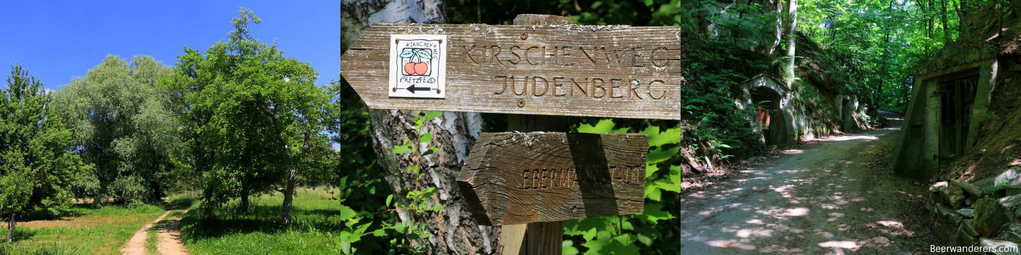 path through trees, hiking sign, lush bierkeller area