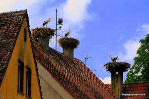 stork nests on chimneys