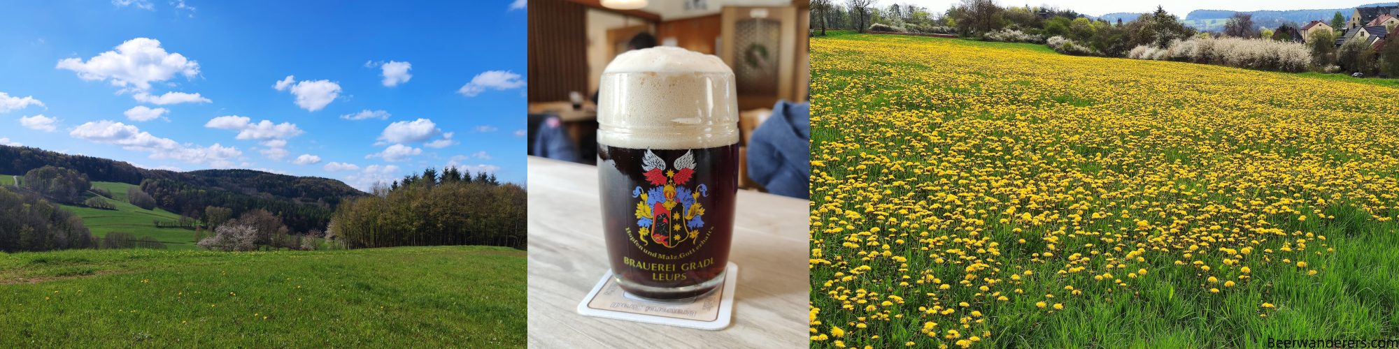 what color is maibock