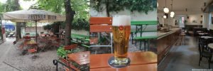 biergarten, golden beer in logo glass, pub interior