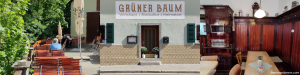 gruner baum kasendorf