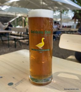 Goldene Gans Maibock