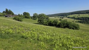 Hohe Wart Haus hike