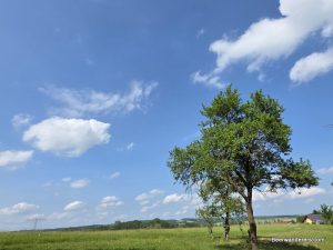 Simmershausen countryside