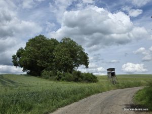 Bedheim countryside